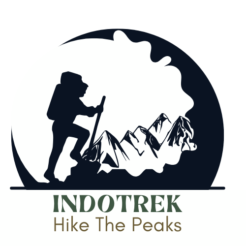 7 - Travel Agency using Tripotomize