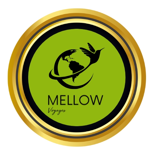 10 - Travel Agency using Tripotomize