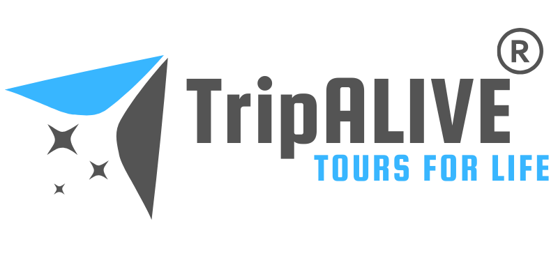 16 - Travel Agency using Tripotomize