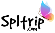 29 - Travel Agency using Tripotomize